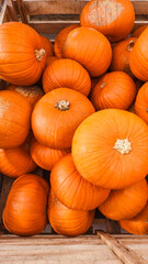 Orange pumpkins filling wooden crate at farmers market