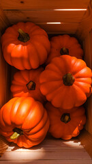 Freshly harvested pumpkins filling a rustic wooden crate