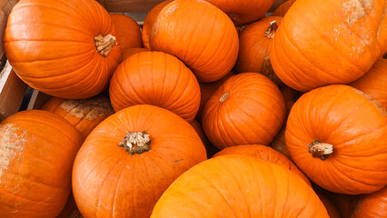 Orange pumpkins filling a wooden crate at farmers market