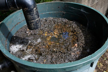 Fermenting water butt mould forming on the surface of water after a warm, dry period