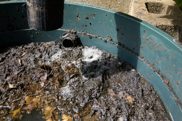 Fermenting water butt mould forming on the surface of water after a warm, dry period