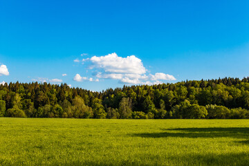Nature background with view of green field and forest against blue sky