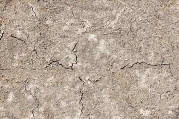 dirt texture background land ground soil

