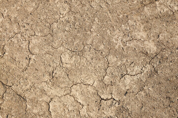 dirt texture background land ground soil
