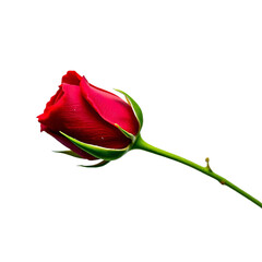 A close-up photograph of a vibrant red rose bud with a green stem against a black background.