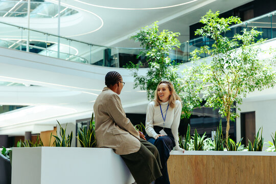 Two female colleagues enjoying a lunch break in a modern office - Powered by Adobe