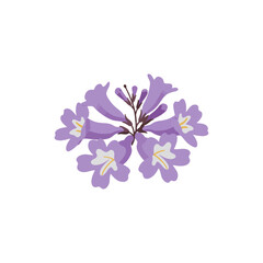  Colorful flat icon of jacaranda bloom with no white