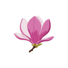  Colorful flat icon of magnolia flower with no white