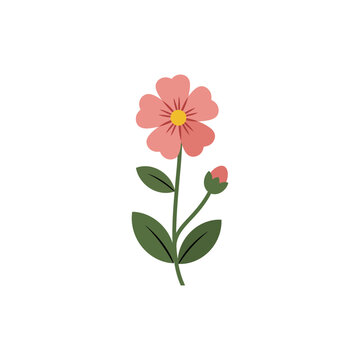 Colorful flat icon of quickweed flower with no white