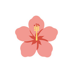  Colorful flat icon of Texas star hibiscus flower with no white