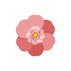 Fototapeta premium Colorful flat icon of Tibetan cherry blossom with no white