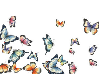 Adobe Illustrator Artwork