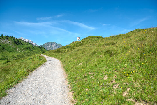Hochtannberg, Schr&ouml;cken, Vorarlberg, Warth