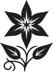 Star Glory Flower Black Silhouette Vector, Decorative Botanical Clipart & Wild Bloom Design