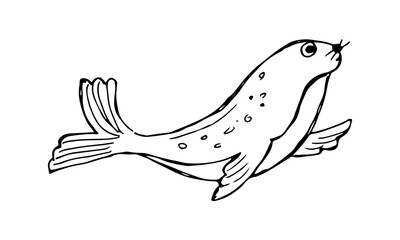 Seal or sea lion with an upward gaze, hand-drawn outline vector animal.