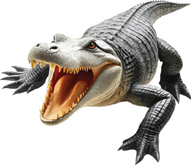 Obraz premium crocodile