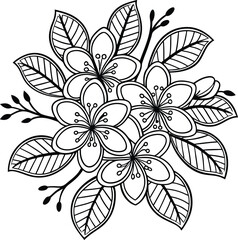 elegant botanical mandala draw