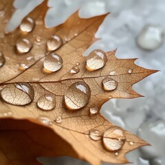 Water droplets cascading off a leaf after rain, clear and reflective. Close-up of a brown leaf with dew droplets, showcasing intricate details and textures on a soft background.