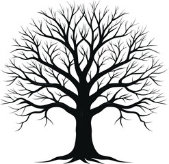 Obraz premium Silhouette of a Majestic Tree: A stunning silhouette of a large tree, its intricate network of bare branches reaching towards the sky. The image captures the stark beauty and resilience of nature.