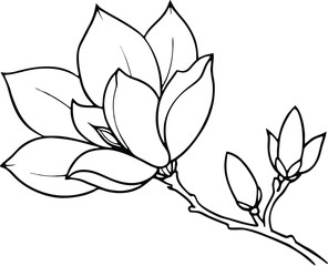 Obraz premium Magnolia Flower in Bloom Line Art on transparent background.