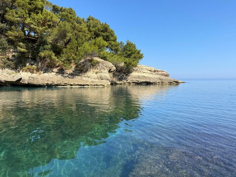 Mediterranean sea and rocky coastline overgrown pine trees.
