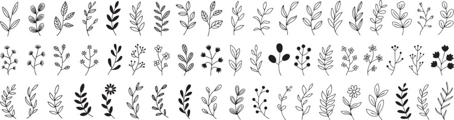 Botanical Branch and Leaf Doodle Set: Hand-Drawn Foliage Elements for Natural Design Accents on a Black Backdrop, Perfect for Invitations and Illustrations