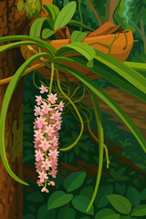 A cluster of delicate pink orchids blooms gracefully from a hanging terracotta pot in a lush forest setting. The long, slender green leaves and cascading flower spike add a natural elegance to the com