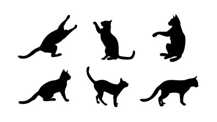 A close up of a person s eye with a reflection of a window