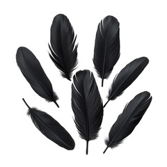 Seven black feathers isolated on transparent background