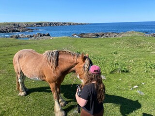 A woman petting a wild horse along the rugged coastline surrounded by the atlantic ocean, near Elliston on the Bonavista Peninsula, Newfoundland, Canada