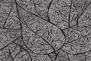 Seamless Black and White Detailed Leaf Veins Pattern