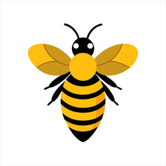 realistic honey bee clipart on white background on transparent background