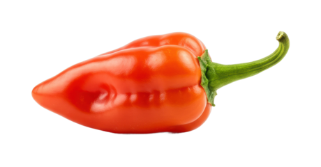 Harvesting red bell peppers culinary adventures in a home garden setting