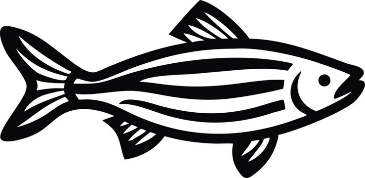 Stylized zebra danio fish illustration with vibrant color accents