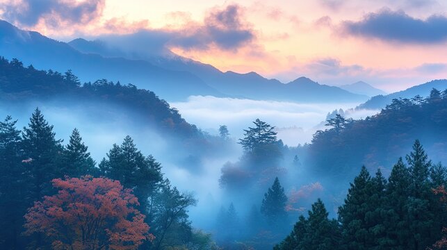 Dreamy foggy forest scenery with an uplifting yet moody landscape, where the mist creates a mystical atmosphere, evoking both wonder and serenity in nature.