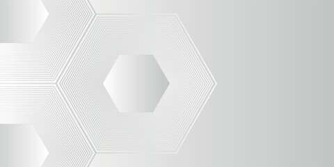 Modern Vector hexagon lines on gray background. Geometric stripe line abstract modern for banner and cover. EPS 10