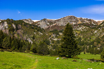 Panorama of the Donezan Massif with the last spring snow from the Pla d’Artounant plateau