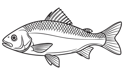 simple Freshwater Fish Line Art Illustration