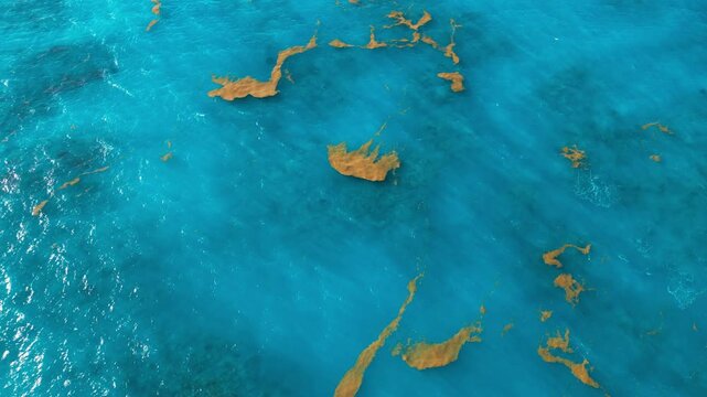 Turquoise Atlantic Ocean with small patches of sargassum seaweed. Aerial view