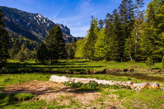 Landscape from a clearing in the Restanque forest by the Bruyante River, tributary of the Aude