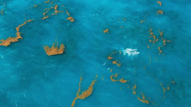 Turquoise Atlantic Ocean with small patches of sargassum seaweed. Aerial view