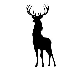 Obraz premium Silhouette of a standing deer with large antlers on white background