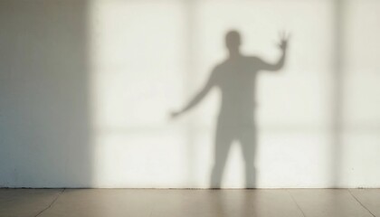 A Man's Shadow: Abstract Silhouette on White Wall