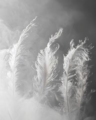 Obraz premium Three tall white feathers rising dramatically through soft, textured smoke.