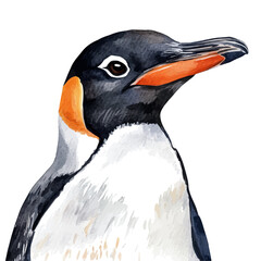 Penguin Close Up, watercolor clipart vector, isolated on a white background.