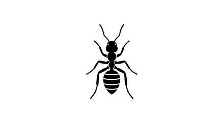 A minimalist black ant silhouette on a plain white background graphic vector