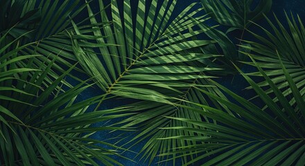 Lush Palm Fronds Against a Deep Teal Backdrop, Tropical Foliage Texture