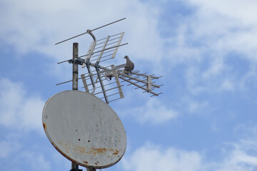Antenna