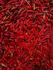 Fototapeta premium Dry Spicy Red Chili Peppers with Textured Skin 