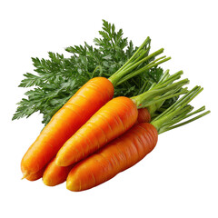 Three fresh carrots isolated on transparent background
